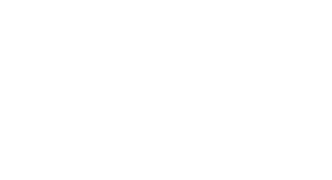 Lyon (69)* | Fête du Clip